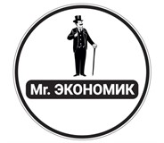 Mr. Экономик 
