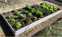 Грядка теплая 6х0.8 м, высота 12,5 см, модульная ПВХ