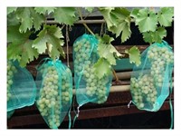 Сетка для защиты гроздей винограда от птиц и ос, 50 см, ИНТЕРЛОК