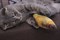 Набор из 2-х игрушек для кошек "РЫБЫ", 18 см, фланель, хлопок - фото 127655