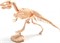 Набор для раскопок «ЮНЫЙ АРХЕОЛОГ» тиранозавр - фото 127723