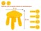 Детский табурет "Мишка", желтый, серия KIDS, PERFECTO LINEA (Максимальная нагрузка 50 кг.) - фото 142696