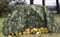 Тент полиэтиленовый камуфляж 100 г/м2, с люверсами, ХозАгро