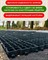 Садовая дорожка, газонная решетка для парковки и дорожек 342*342*30 мм