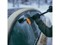 Щетка для снега 47 см со скребком Solid FISKARS (щетка-сметка снеговая, съемный скребок)