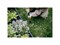 Корнеудалитель OneClick FISKARS