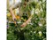 Культиватор Grebber OneClick FISKARS