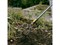 Культиватор три зуба OneClick FISKARS