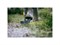 Насадка-тяпка для оформления краев OneClick FISKARS