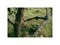 Насадка-сучкорез OneClick FISKARS