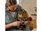 Когтерез для кошек и собак малый PET FISKARS